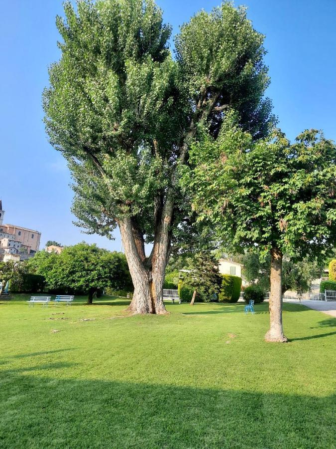 Apartamento Residenza Palmira Bardolino Calmasino Exterior foto